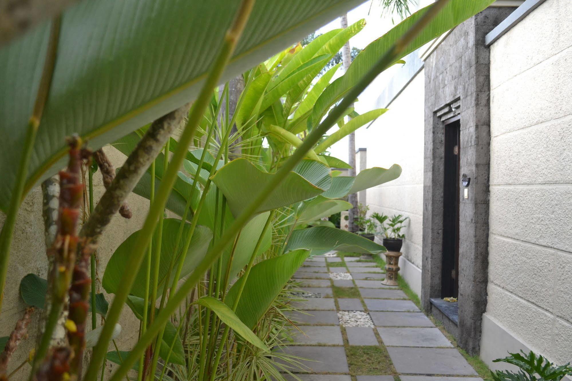 D'Alang Alang Villas 세미냑 외부 사진